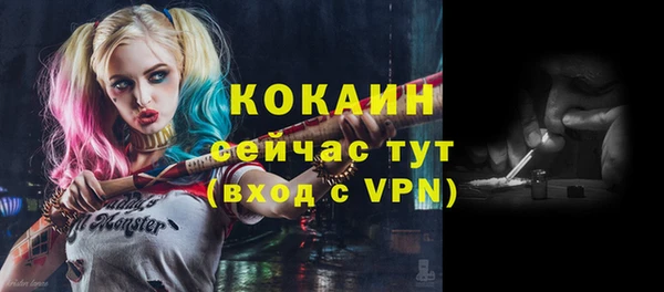 PSILOCYBIN Аркадак